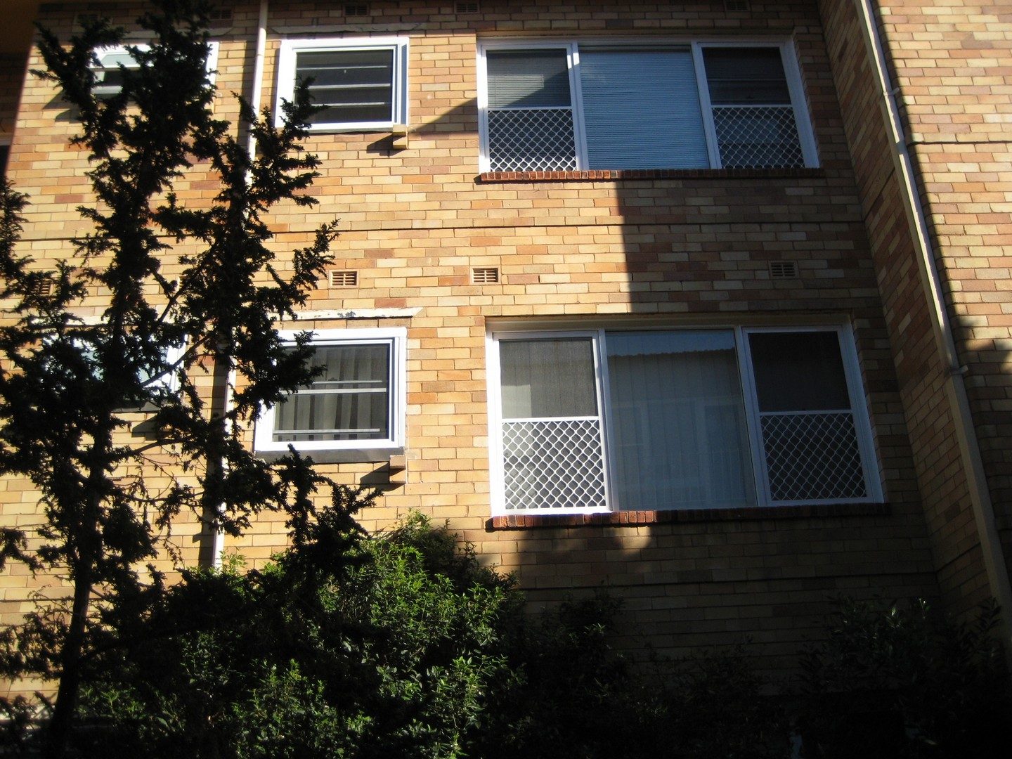 Window Glass Replacement project 3
